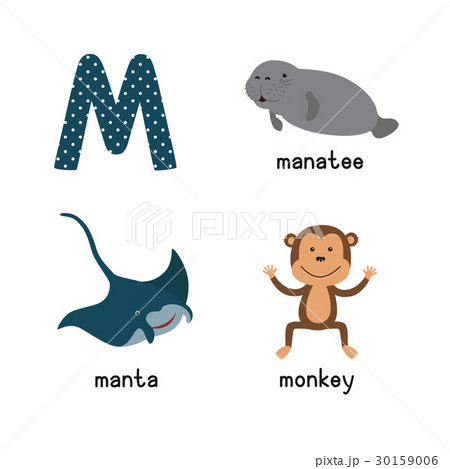 Cute zoo alphabet in vector.M letter. Funny 30159006