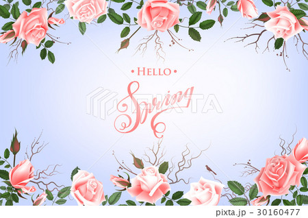 Hello Spring Background with Roses.  30160477