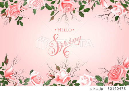 Hello Spring Background with Roses 30160478
