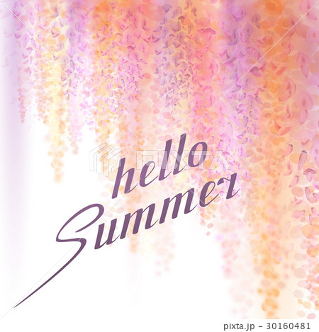 summer background with blooming wisteria summer background with blooming wisteria 30160481