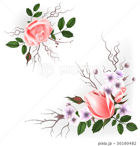 Bouquet of pink roses Bouquet of pink roses 30160482