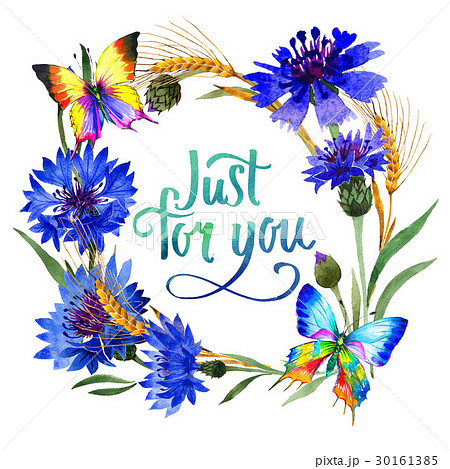 Wildflower carnation flower frame in a watercolor 30161385