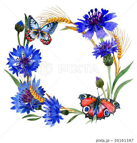 Wildflower carnation flower frame in a watercolor 30161387