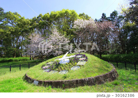 豊橋公園　花時計 30162386