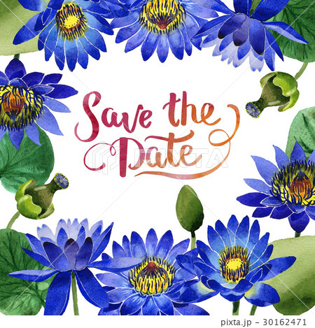 Wildflower blue lotus flower frame in a watercolor 30162471