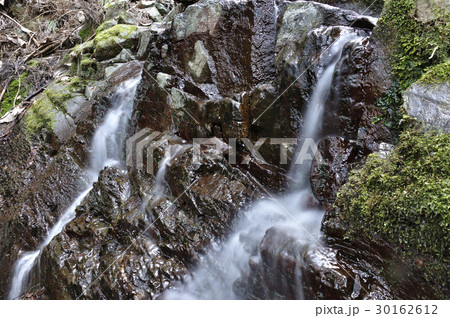 森の沢水 30162612