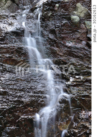 森の沢水 30162613