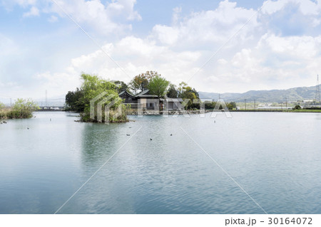 浮島神社の池 30164072