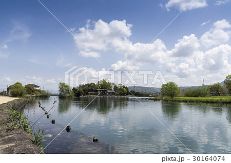 浮島神社の池 30164074