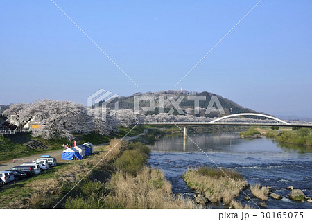 一目千本桜の満開風景(宮城県柴田郡大河原町) 30165075