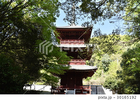 報恩大師備前四十八ヶ寺 千光寺の三重塔と新緑 岡山県赤磐市 報恩大師備前四十八ヶ寺 千光寺の三重塔と新緑 岡山県赤磐市 30165192