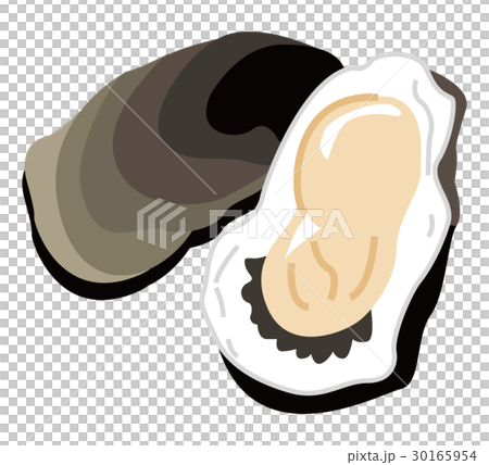 牡蠣のイラスト 牡蠣のイラスト 30165954