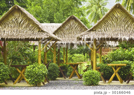 Summerhouses in a green garden 30166046