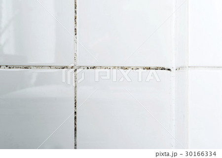 Mould in a bathroom and dust on the tiles Mould in a bathroom and dust on the tiles 30166334