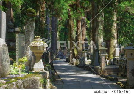 高野山 奥の院参道 高野山 奥の院参道 30167160