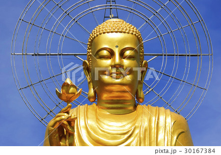 Golden Buddha Statue with lotus (Da Lat, Vietnam) 30167384
