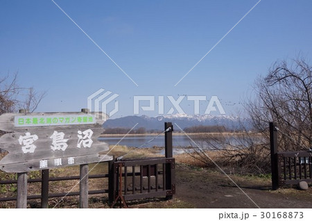 宮島沼（北海道美唄市） 30168873