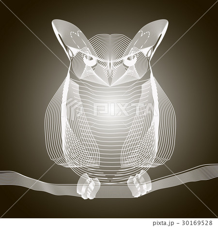 Owl x-ray stylize  illustration on a gra 30169528