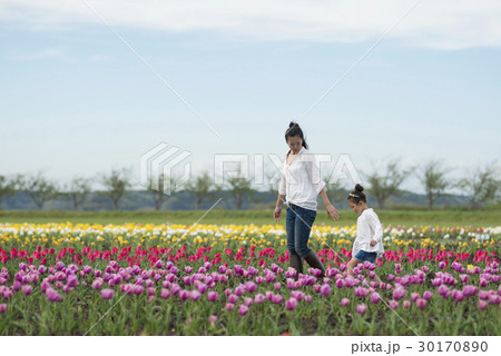 チューリップ畑で遊ぶ親子 30170890