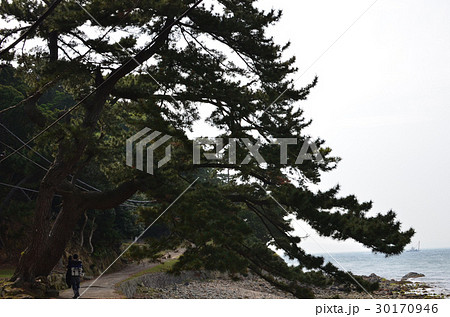 友ヶ島 友ヶ島 30170946