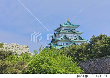 名古屋城大天守となんじゃもんじゃ 30171071