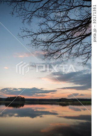 Evening landscape over the pond with few trees Evening landscape over the pond with few trees 30171361