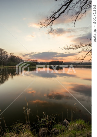 Evening landscape over the pond with reed Evening landscape over the pond with reed 30171363