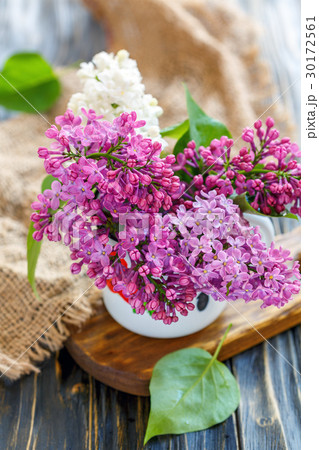 Blooming lilacs in the water droplets. 30172561