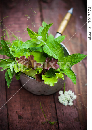 Fresh lettuce in the garden. 30172784