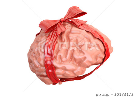 Human Brain with red bow and ribbon 30173172
