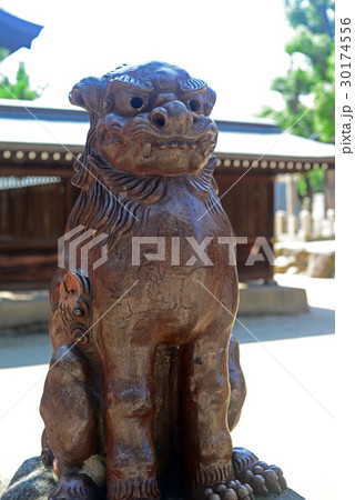 白波稲荷神社の狛犬-2 30174556
