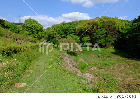 小野路 里山の谷戸の風景 小野路 里山の谷戸の風景 30175061