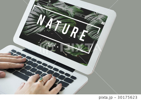 Ecology Fresh Lush Natural Nature Ecology Fresh Lush Natural Nature 30175623