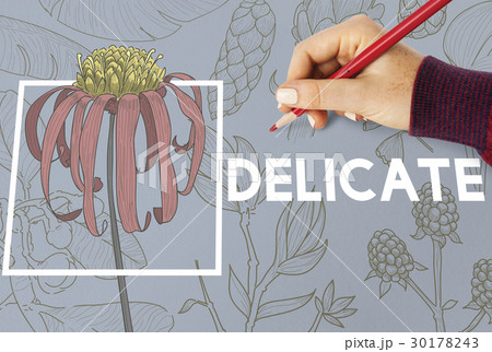 Blooming Floral Arts and Crafts Nature Blooming Floral Arts and Crafts Nature 30178243