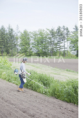 草刈り　芝刈り 30180603