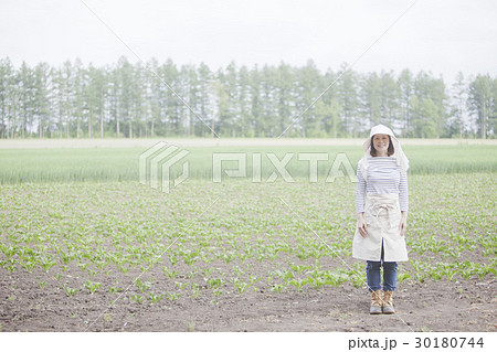 農家の女性 農家の女性 30180744