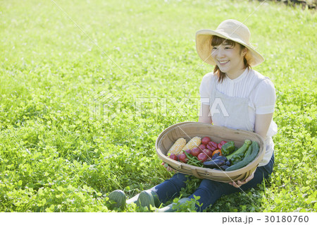 家庭菜園 野菜の収穫 家庭菜園 野菜の収穫 30180760