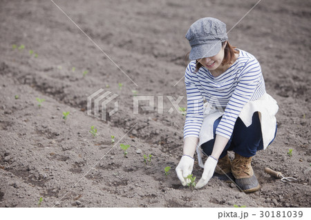 農業女子 農業女子 30181039