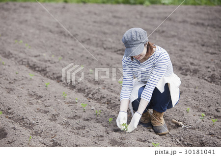 農業女子 30181041