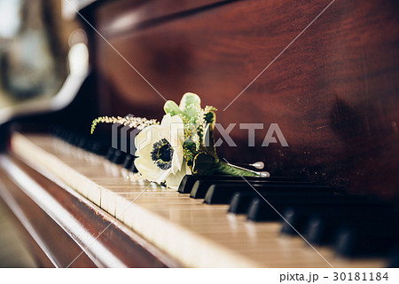 Boutonniere flower for groom Boutonniere flower for groom 30181184