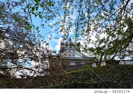 大野市 池田城天守閣 大野市 池田城天守閣 30182174
