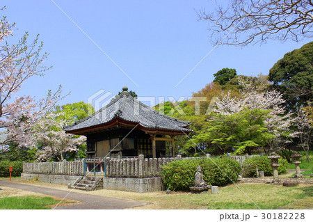 掛川古城　天王山龍華院 30182228