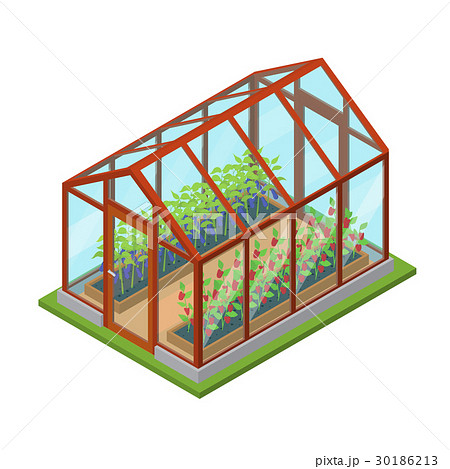 Greenhouse With Flowers And Plants Isometric Viewのイラスト素材