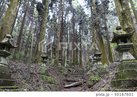 上色見熊野座神社 上色見熊野座神社 30187601