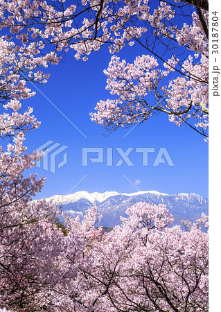 高遠城址公園 高遠城址公園 30187804