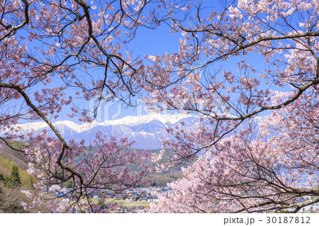 高遠城址公園 高遠城址公園 30187812