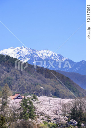 高遠城址公園 高遠城址公園 30187861