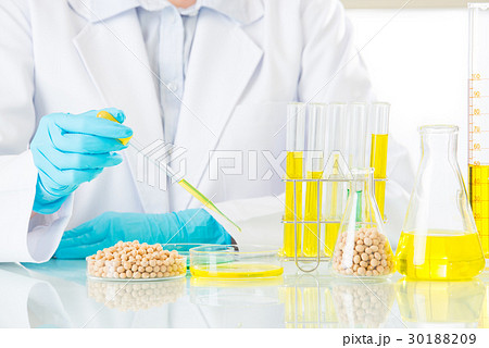 Asian female scientist doing soya genetic 30188209