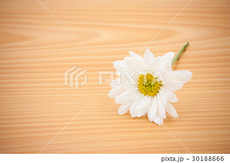arrangement flower on wooden with empty space arrangement flower on wooden with empty space 30188666