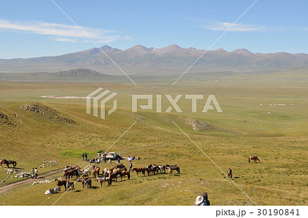 ウイグルの草原　青空の下の遠くに見える山々と馬の群れ 30190841